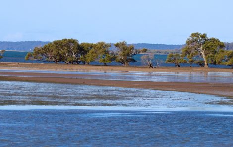 Guidelines for submissions on Toondah Harbour Draft Environmental Impact Statement (EIS)