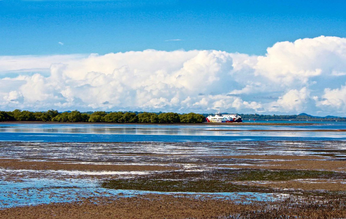 Toondah-wetlands-Sbroke-ferry-scaled-1170x740b