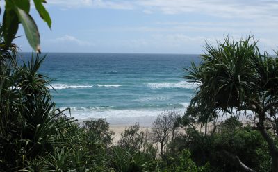 Environment Minister admits sandmining causes permanent and irreversible damage to North Stradbroke Island